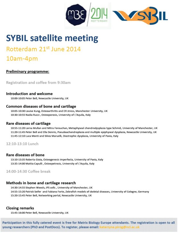 SYBIl satellite
